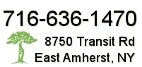 Northtowns Orthopedics Main Office: 8750 Transit Rd, East Amherst, NY